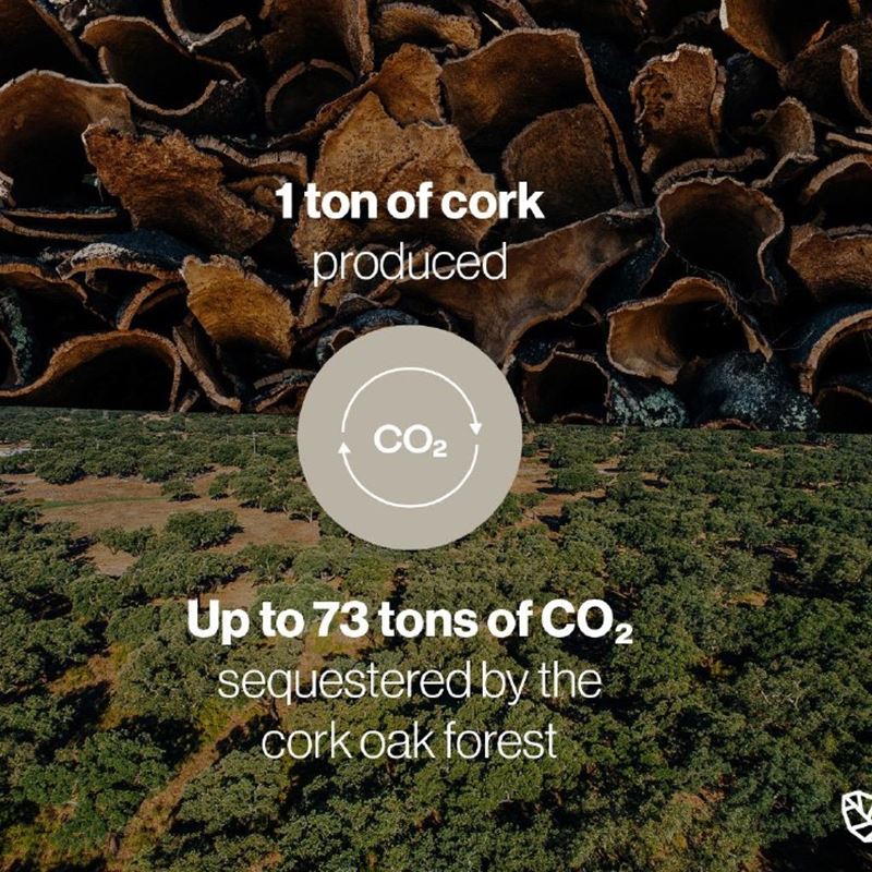 cork carbon co2.jpg